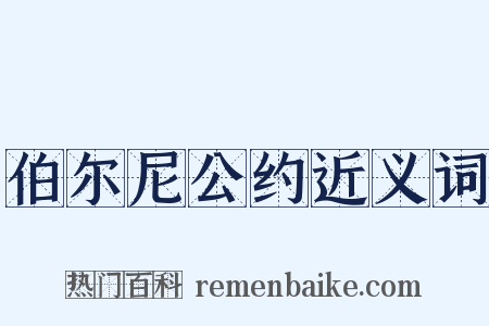 伯尔尼公约近义词是什么意思的图片